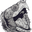 Turtleman logo